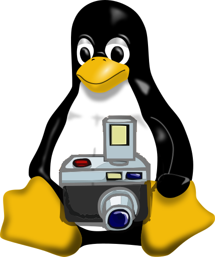 Photographer Penguin